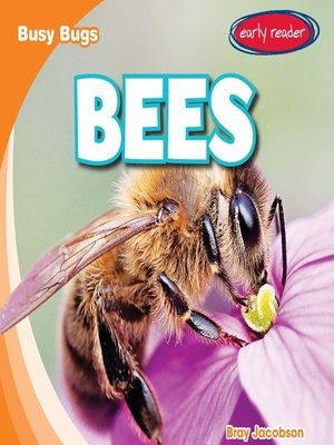 cover image of Bees
